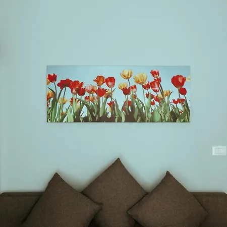 Sostanza - In Catania